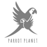 www.parrotplanet.pl